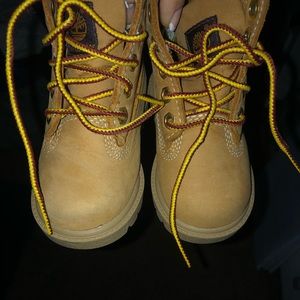 5c wheat timberland